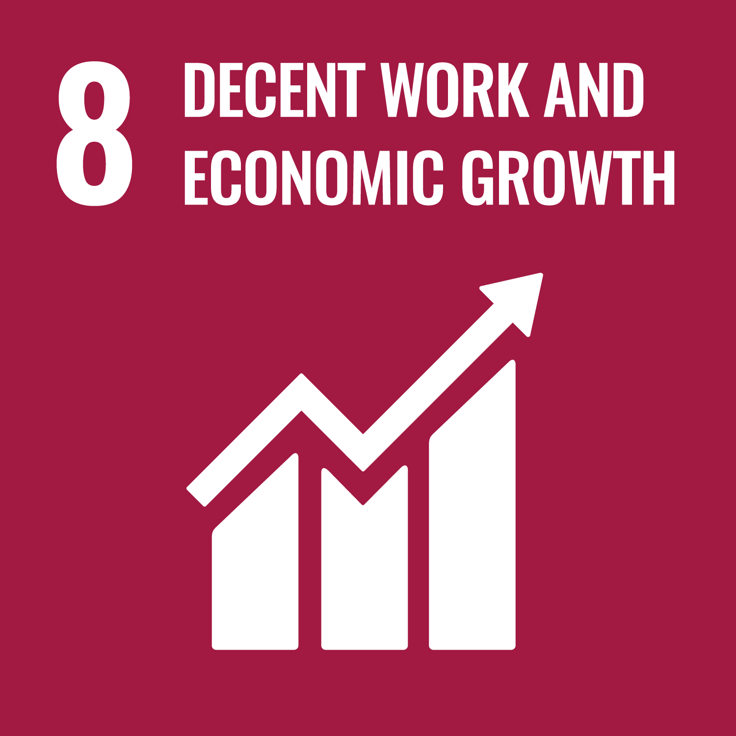 SDG 8 picture