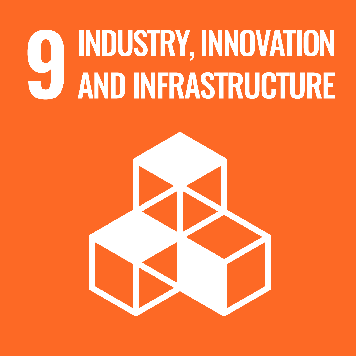 SDG 9 picture