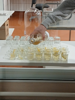 Food Pilot Plantissa valmistetut Gin-tonic-drinkit