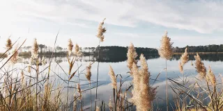 Autumn lake landscape