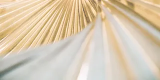 A beige abstract object