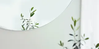 A plant and a round mirror
