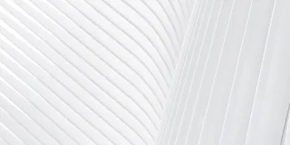 White line texture