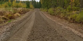 Värlammin metsätie