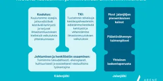 Kestävä, vastuullinen ja hiilineutraali AMK