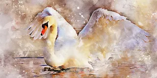 Myös kriisistä voi nousta kukoistukseen armollisen itsensä johtamisen avulla. Kuva: Pixabay.