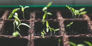 Lahden kampukselle rakentuu kiertotalouslaboratorio.