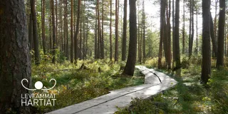 Päijät-Hämeessä panostetaan vastuulliseen matkailuun