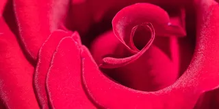 Joulukuussa valmistuneet