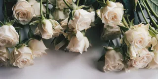 White roses