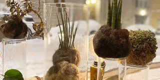 LABin Hiukka-hankkeessa tehtyjä kokedamapalloja.