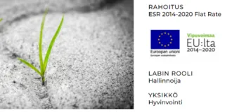 KETTERÄ - Työhyvinvoinnin, osaamisen ja työurien muutoskyvykkyyttä mikro- ja pk-yrityksille