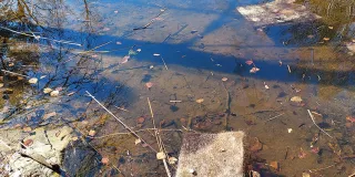 Hiuskuiduista valmistettuja mattoja vedessä imemässä öljyä