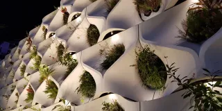 Viherseinäelementti, jossa kasvaa kasveja