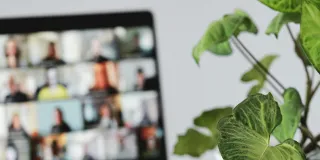 Online studies from home.