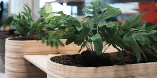 Kierrätysmateriaalista tehtyjä kukkaruukkuja.