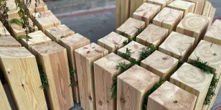 Kasvillisuuskaluste Lahden kampuksen sisäpihalla.