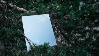 A mirror on the conifers