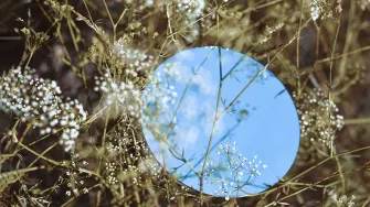 Sky landscape in a round mirror lying on the grass