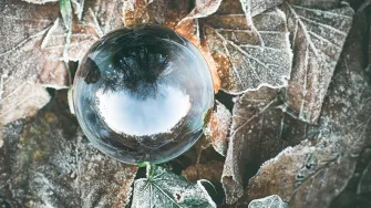 A glass ball on top of frosted leaves