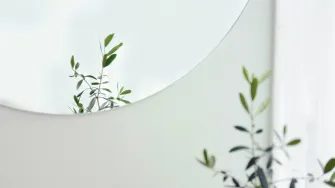 A plant and a round mirror