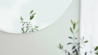 A plant and a round mirror