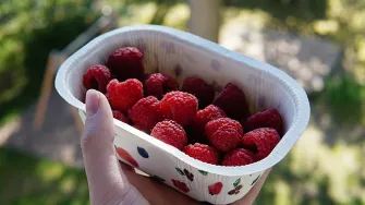 KUPARI-tuoremarjapakkaus