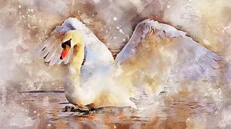 Myös kriisistä voi nousta kukoistukseen armollisen itsensä johtamisen avulla. Kuva: Pixabay.