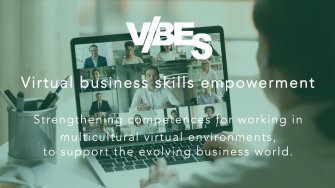VIBES websites