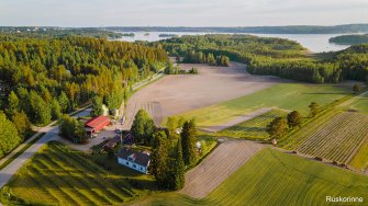 A farm with fields and forest