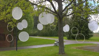 Ympäristötaidetta puussa.