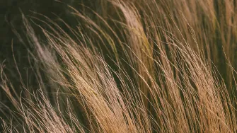 LABin Hiukka 2.0 -projektissa hiuskuiduille kehitetään uudenlaisia käyttökohteita.