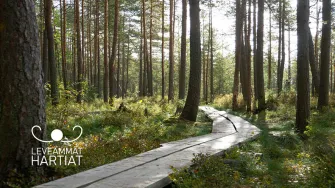 Päijät-Hämeessä panostetaan vastuulliseen matkailuun