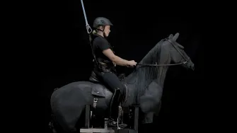Horseback riding simulator