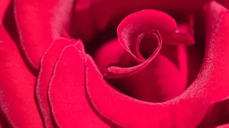 Joulukuussa valmistuneet