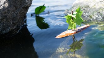 Virtuaaliopas Saimaan rannoille