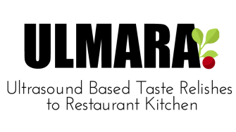 project logo 