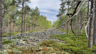 Pirunpelto, Lauhanvuori-Hämeenkagas Geopark