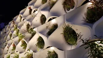 Viherseinäelementti, jossa kasvaa kasveja