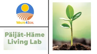 Logo and plant plus LL text as illustrators