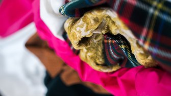 Colorful clothes.