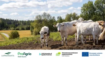 lehmiä laitumella ja tapahtumajärjestäjien logot