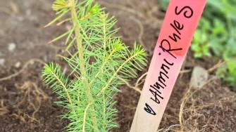 lab alumni forest 2025