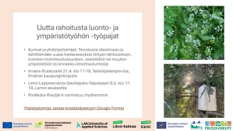 Linnunpönttö, valkokukkaisia kasveja