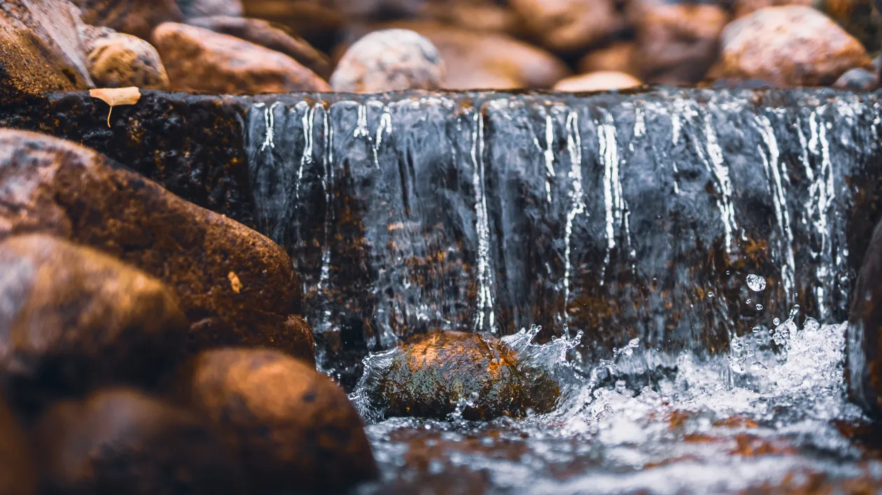 LUT-korkeakoulujen sijoitustoiminta 