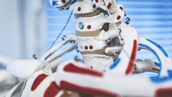 LAB detail, social and health care, physiotherapy