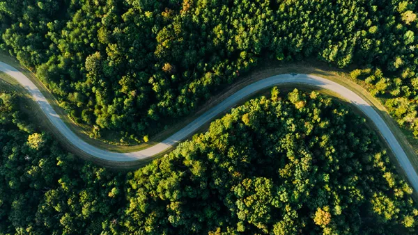 Metsää maantien ympärillä.