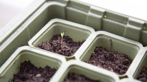 HIILIKETJU -hanke kuvituskuva nostolle