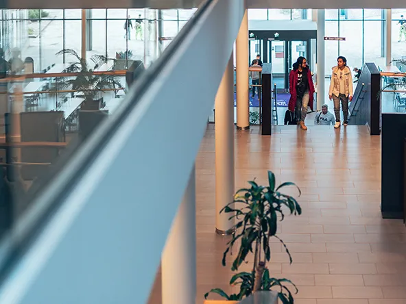 SDG 8: Decent work and economic growth