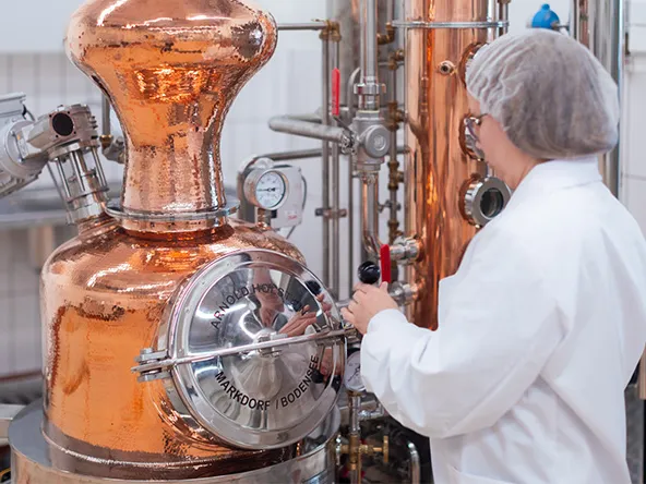 Food Pilot Plantin laite ja labrahoitaja